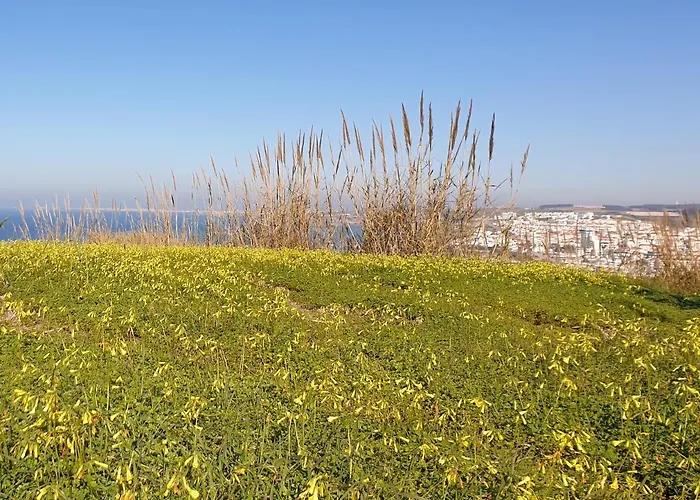 Casa Harmonica Com Vista Mar * ארייה ברנקה